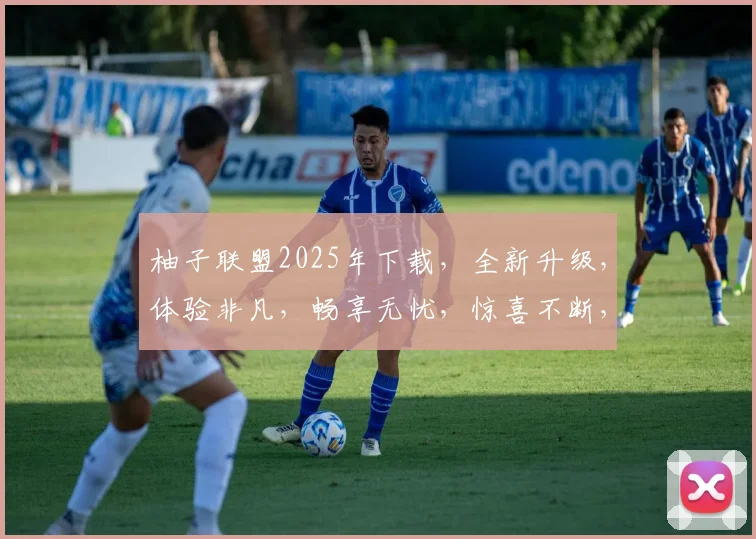 柚子联盟2025年下载，全新升级，体验非凡，畅享无忧，惊喜不断，不容错过