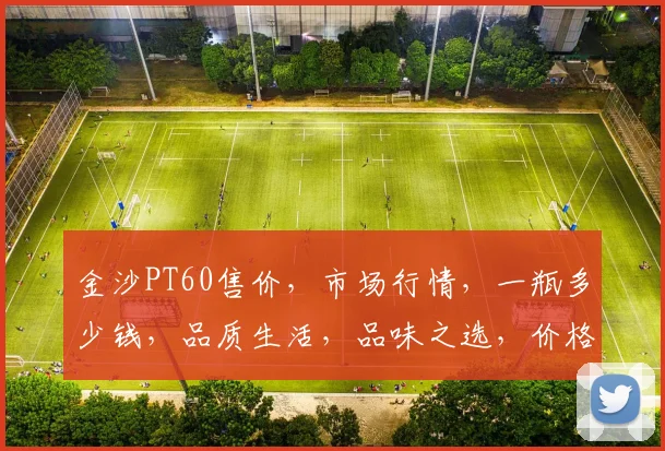 金沙PT60售价，市场行情，一瓶多少钱，品质生活，品味之选，价格合理，品质卓越。
