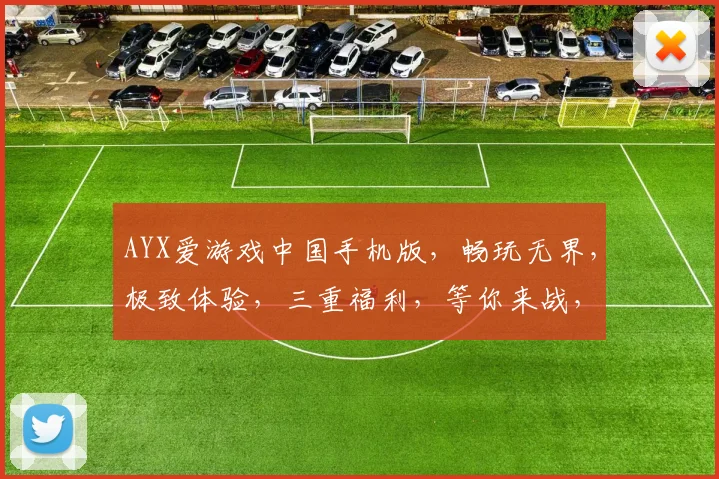 AYX爱游戏中国手机版，畅玩无界，极致体验，三重福利，等你来战，一触即达